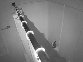 voyeurcam-whitneyoc-shower