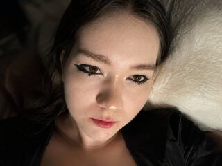 web cam live KendalChalet